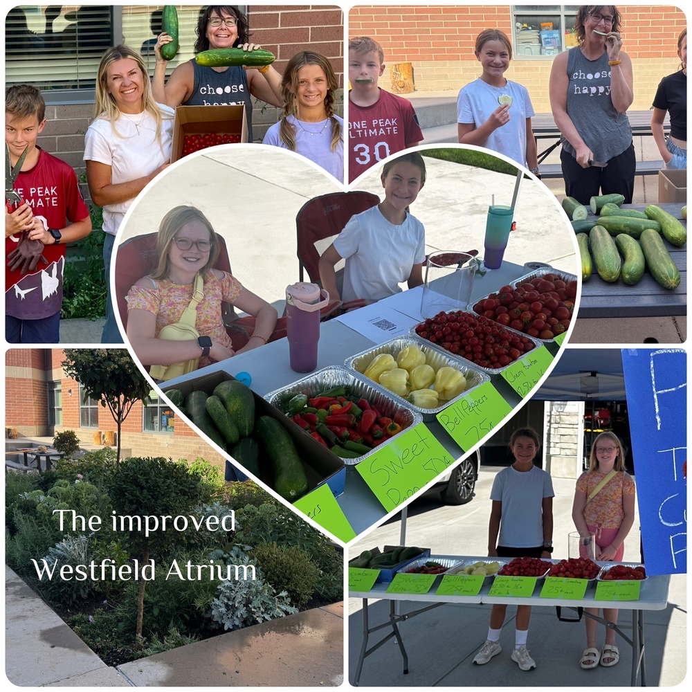 5/6th grade garden