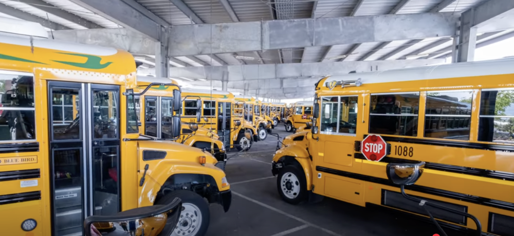 Yellow school busses lined up diagonally