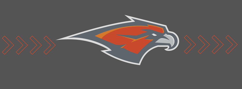 Falcon head