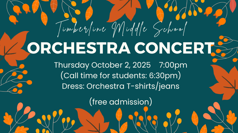 Orchestra Concert