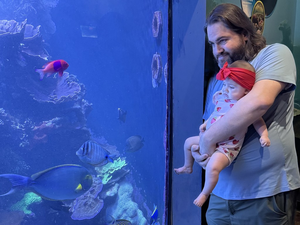 Mr. Kohl's summer adventure