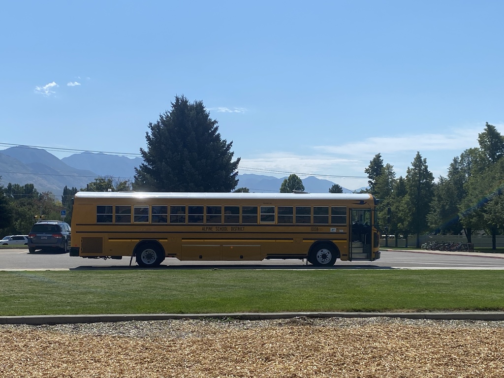School Bus in a bus zone