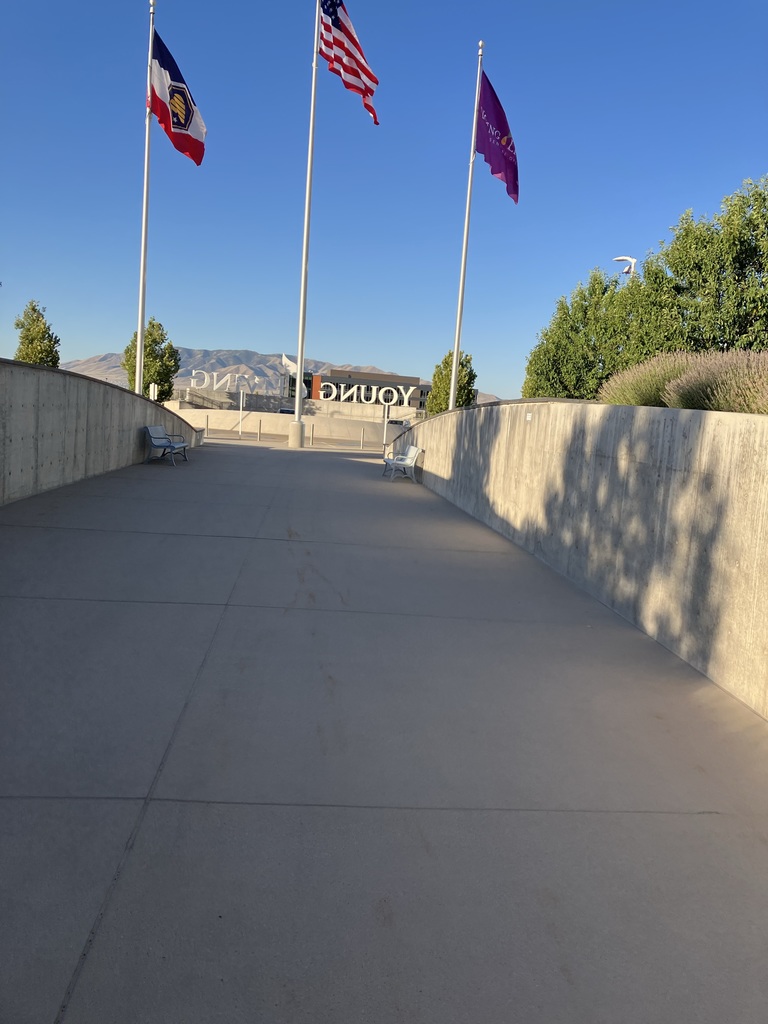 picture of flags outside of an office building.
