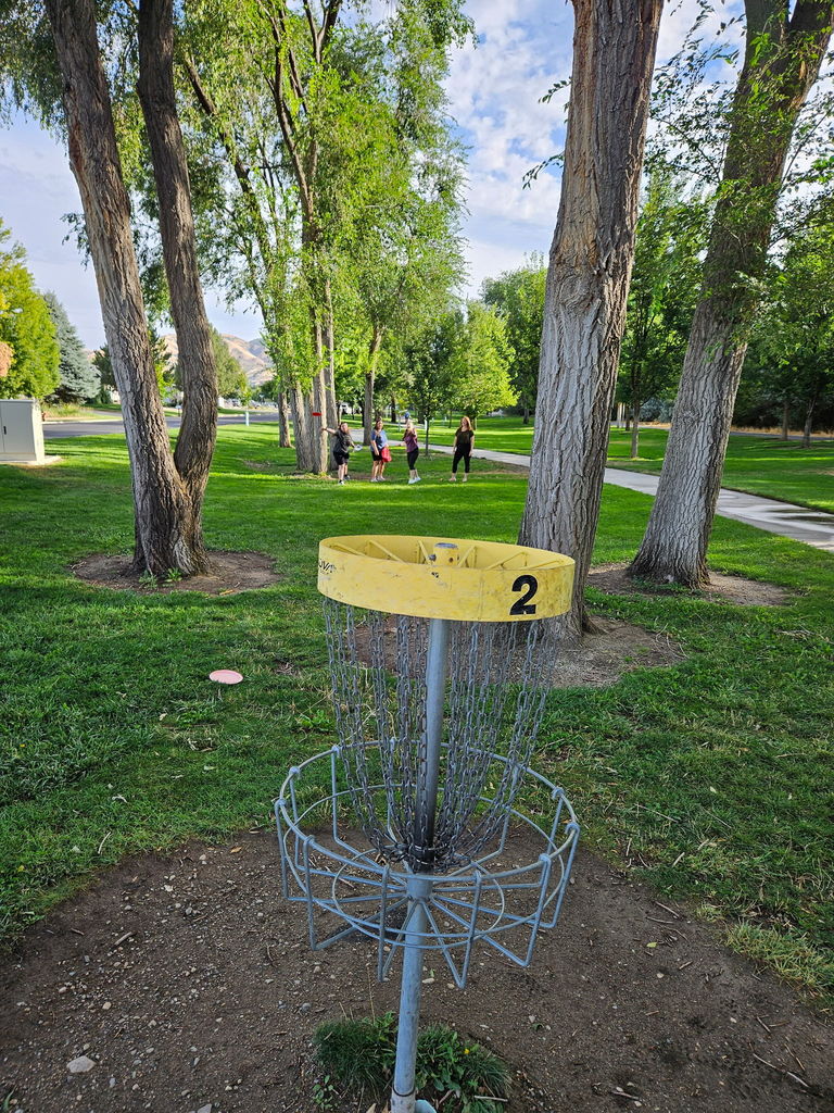 picture of a frisby golf net
