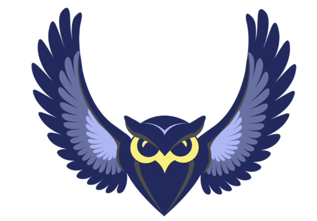 Springside Owl