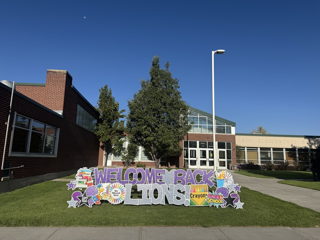 Welcome Back Lions