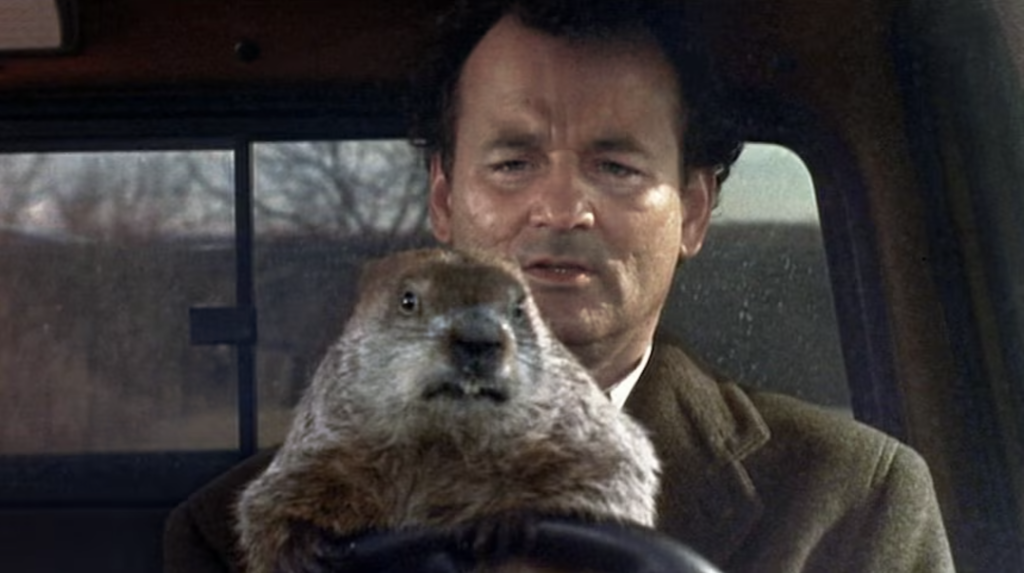 Bill Murray and Groundhog