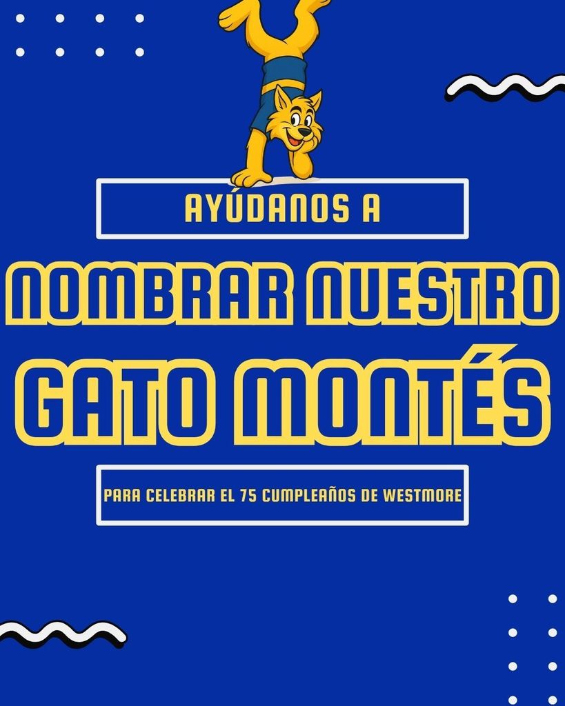 Ayúdanos a nombrar nuestro gato montés