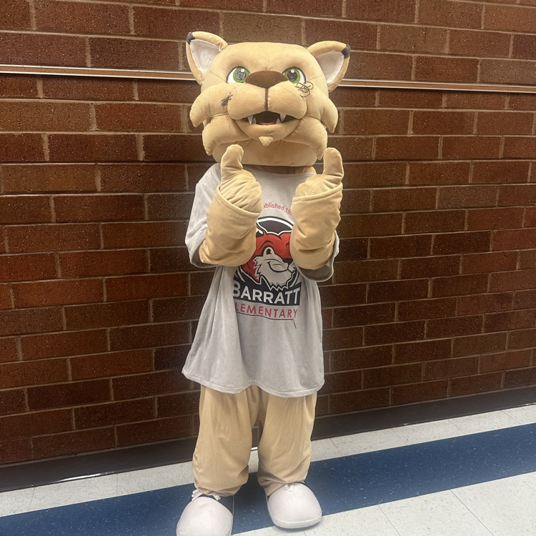 bobcat mascot