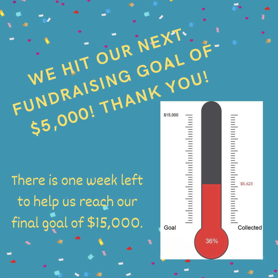 Fundraiser donation information