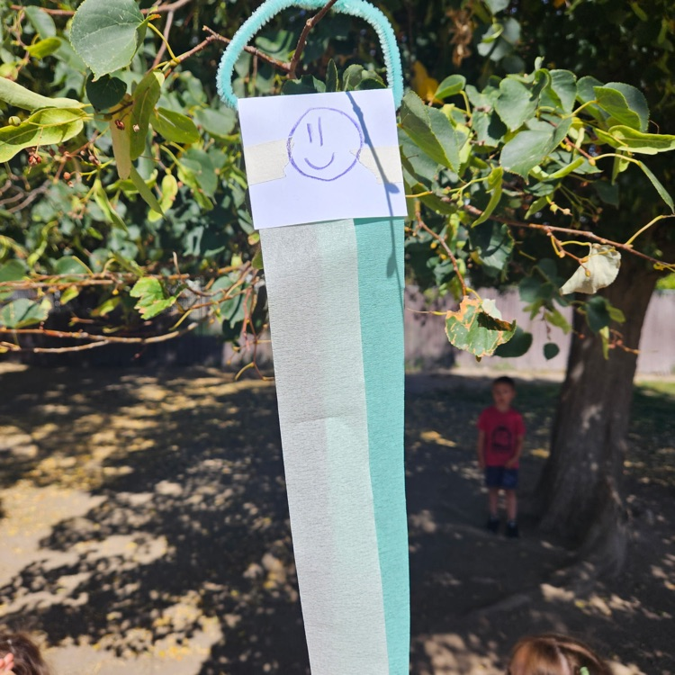 a tree with wind catcher