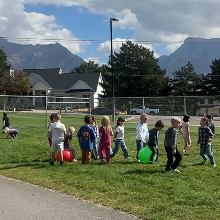 kids on bounce balls