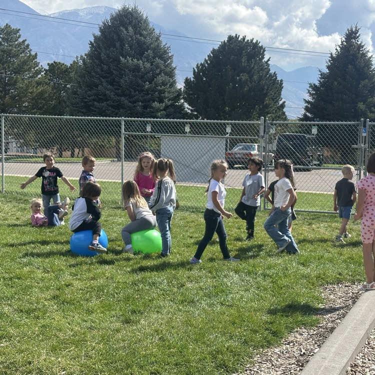 kids on bounce balls