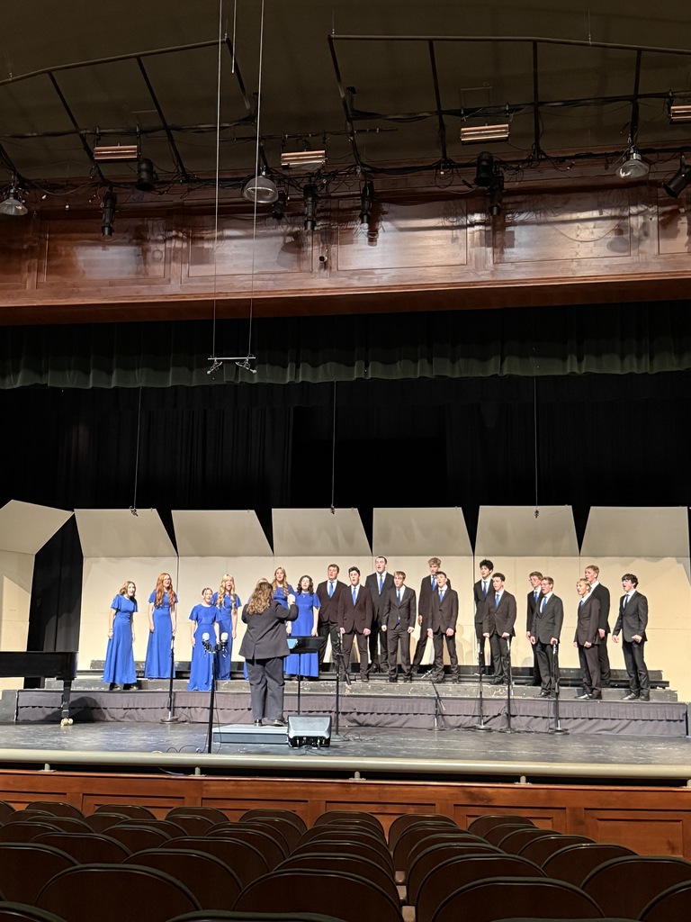 Chamber choir performing a song on stage