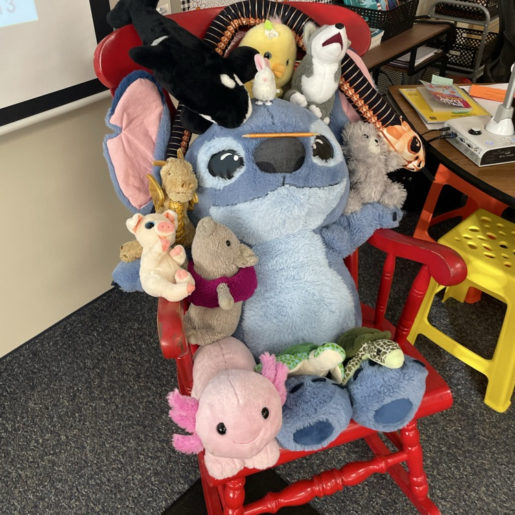 stuffed animals in class