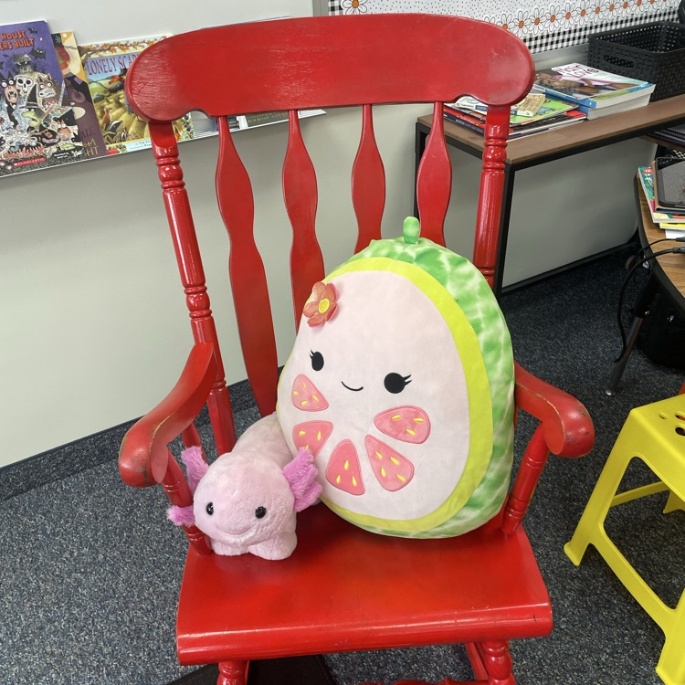 stuffed animals in class