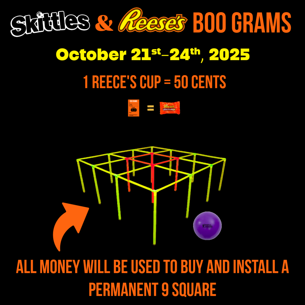 picture of a 9 square court and a ball