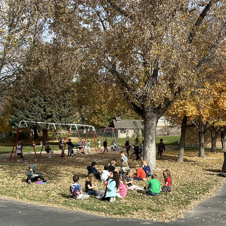 students eating lunch outdoors 