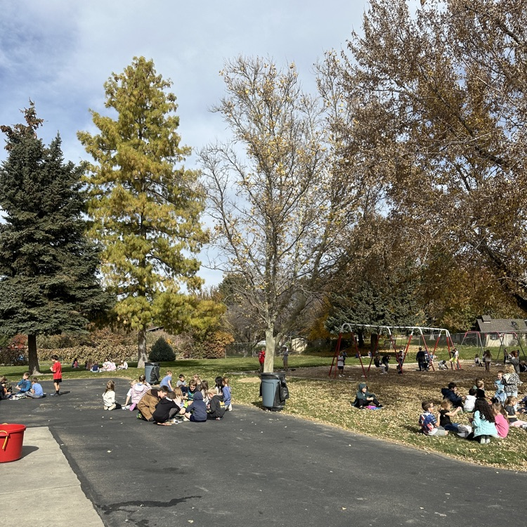 students eating lunch outdoors 