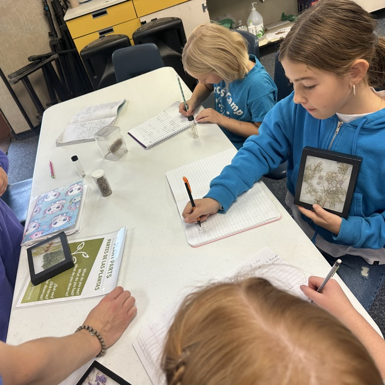 students at museum on the move 