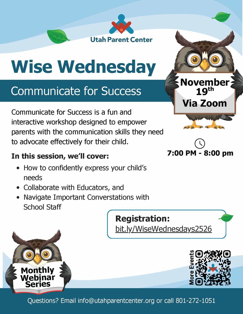 Wise Wednesday with Owls