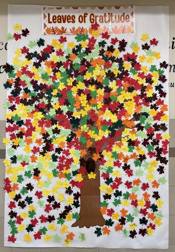 picture of a tree with multi colored leaves falling around it