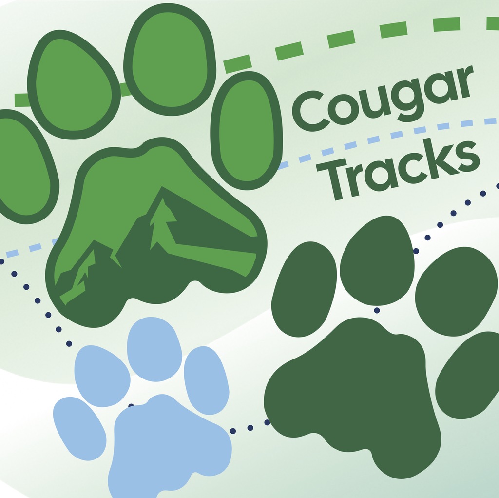 Cougar Tracks Square Image - it shows cougar paw prints and the text "Cougar Tracks"