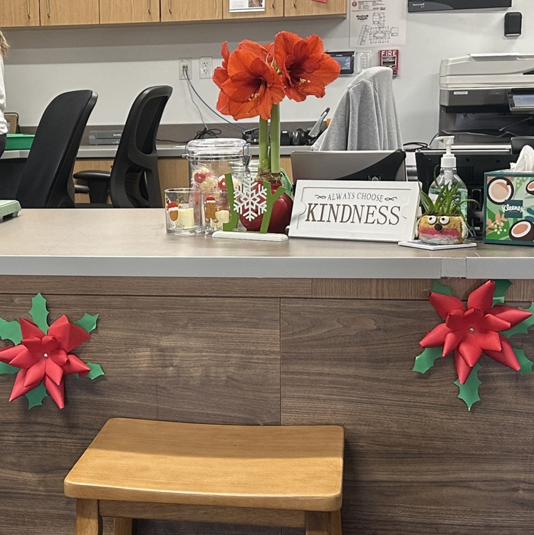 Christmas flowers in the office 