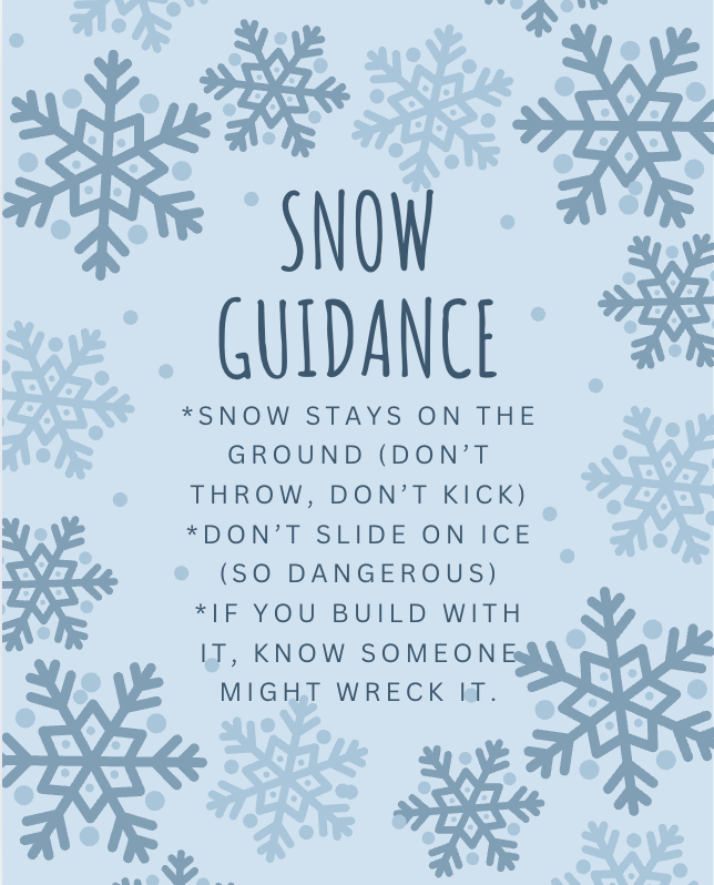 Snow Guidance