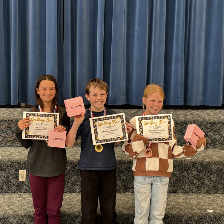 5th/6th winners 