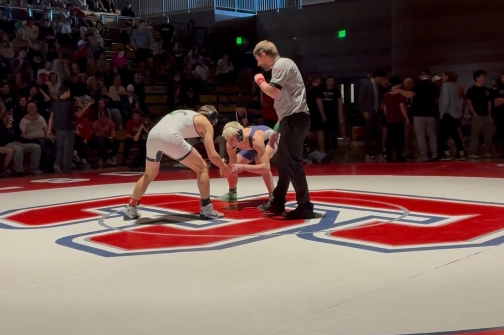 Two wrestlers in starting position on the center circle while a referee crouches between them to begin the match.”