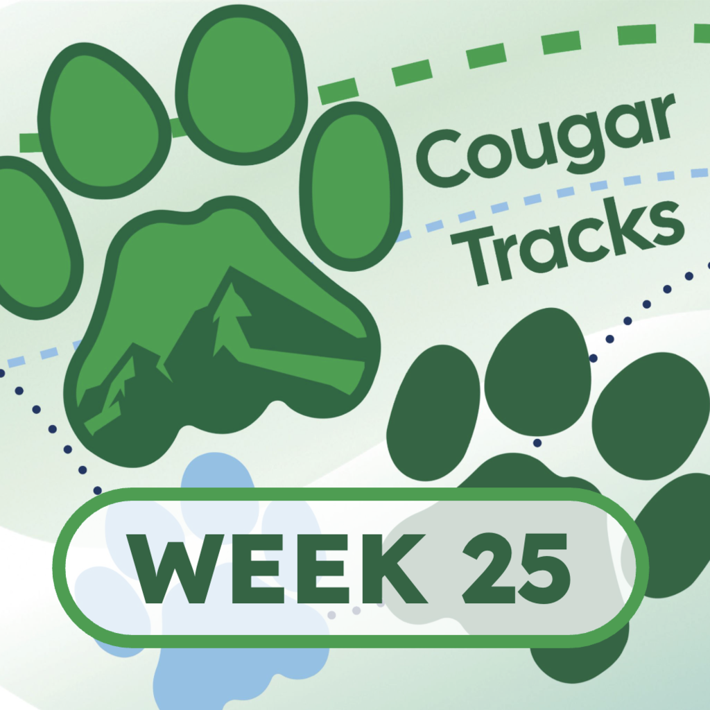 Cougar Tracks Square Image - it shows cougar paw prints and the text "Cougar Tracks" with the text "Week 25"