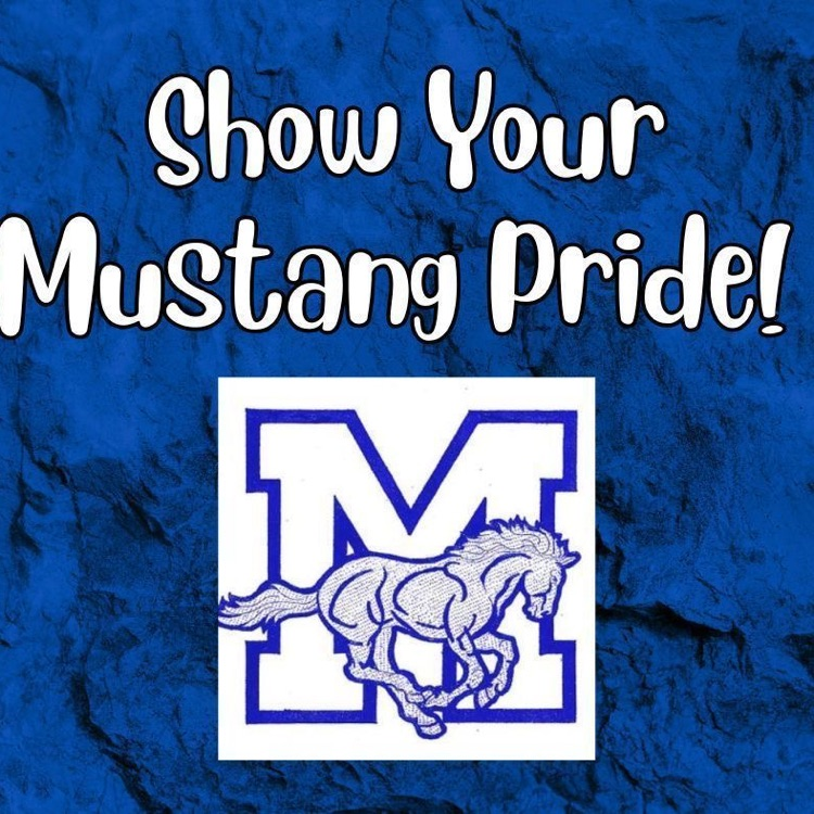 Manila elementary logo on blue background