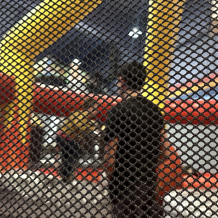 students at classic skating 