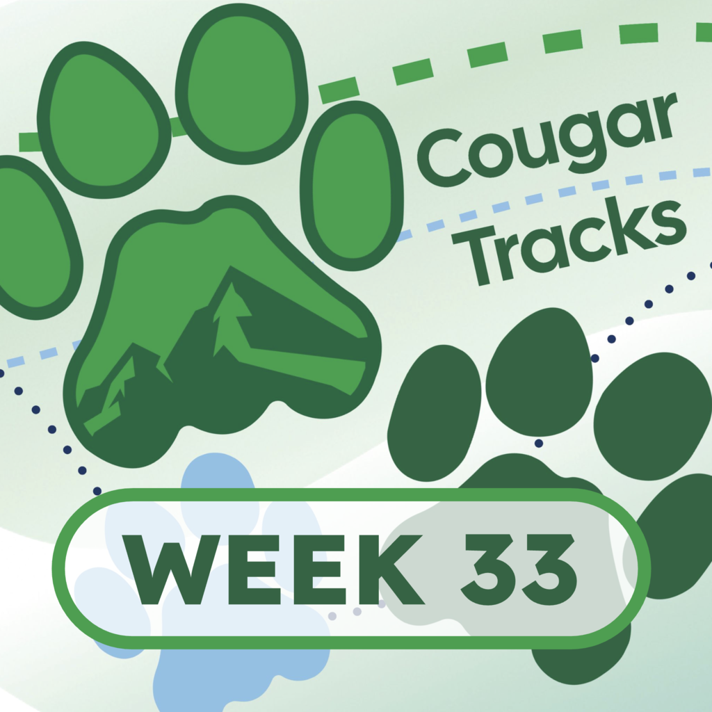 Cougar Tracks Square Image - it shows cougar paw prints and the text "Cougar Tracks" along with the text "Week 33"