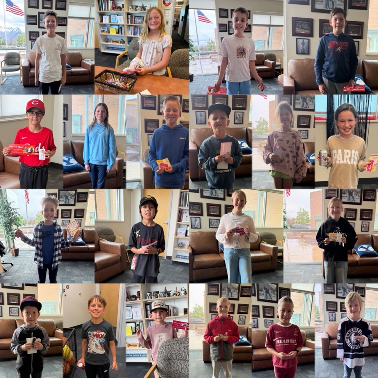 Rocky Reward Winners 426