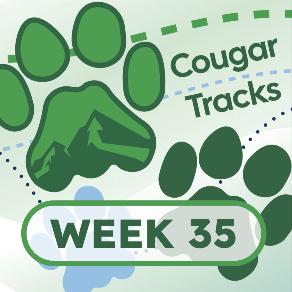 Cougar Tracks Square Image - it shows cougar paw prints and the text "Cougar Tracks" with the text "Week 35" at the bottom.