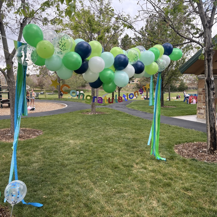 balloon arch at park day