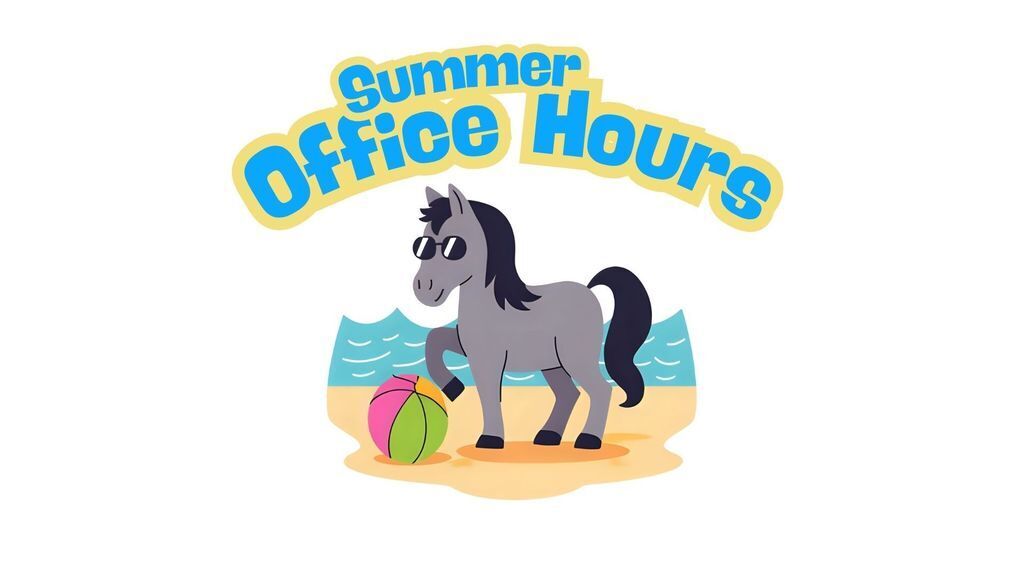 Summer Office Hours with horse on beach with a ball and waves