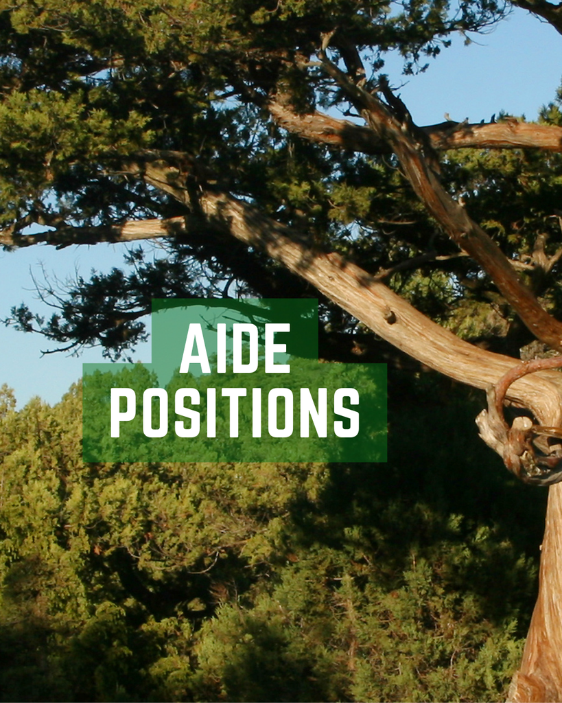 a header image for aide positions with a juniper tree background