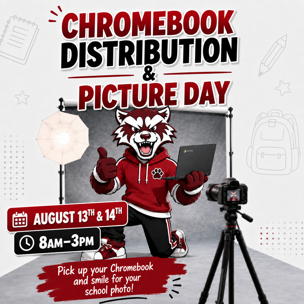 Instagram Chromebook