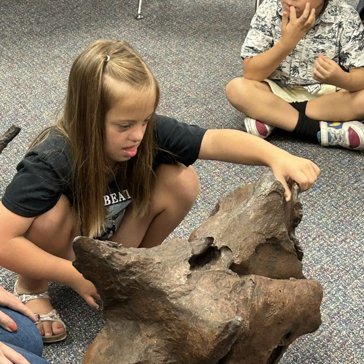 students engaged in a lesson 