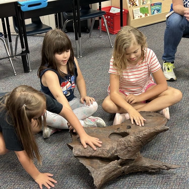 students engaged in a lesson 