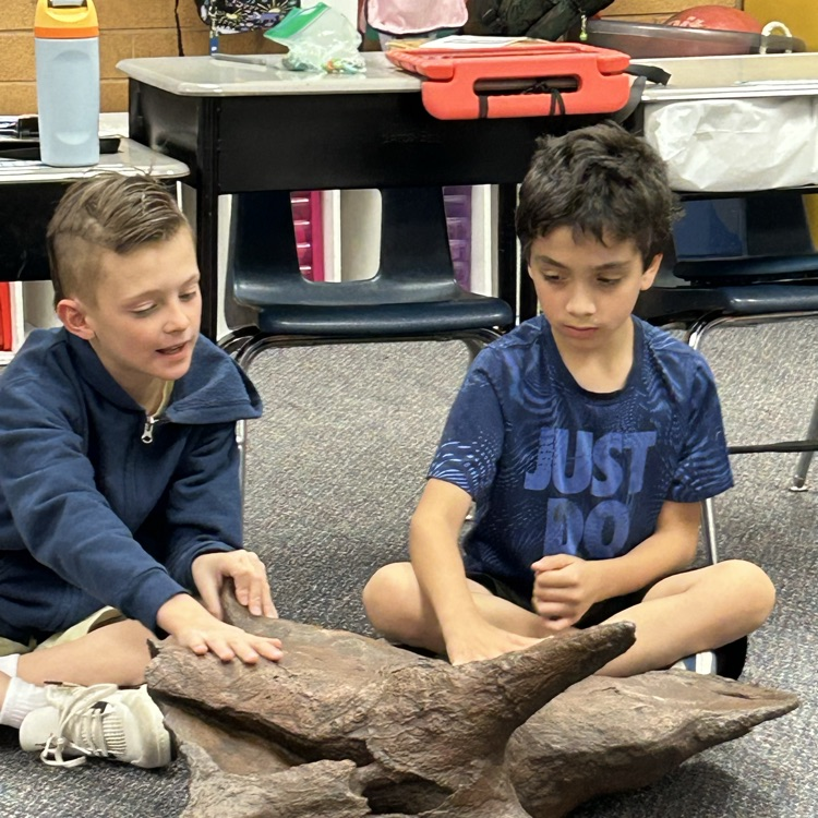 students engaged in a lesson 