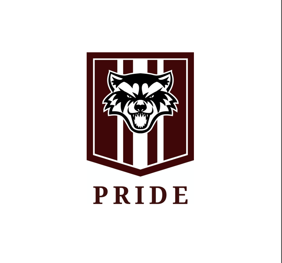 Wolverine face on a school banner