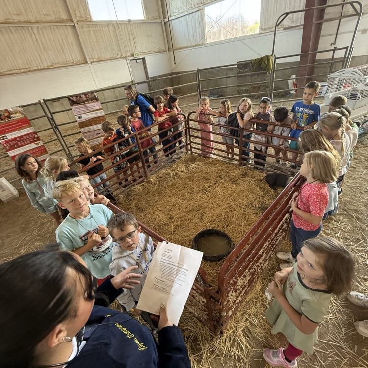 kids at the farm 