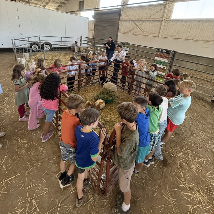 kids at the farm 