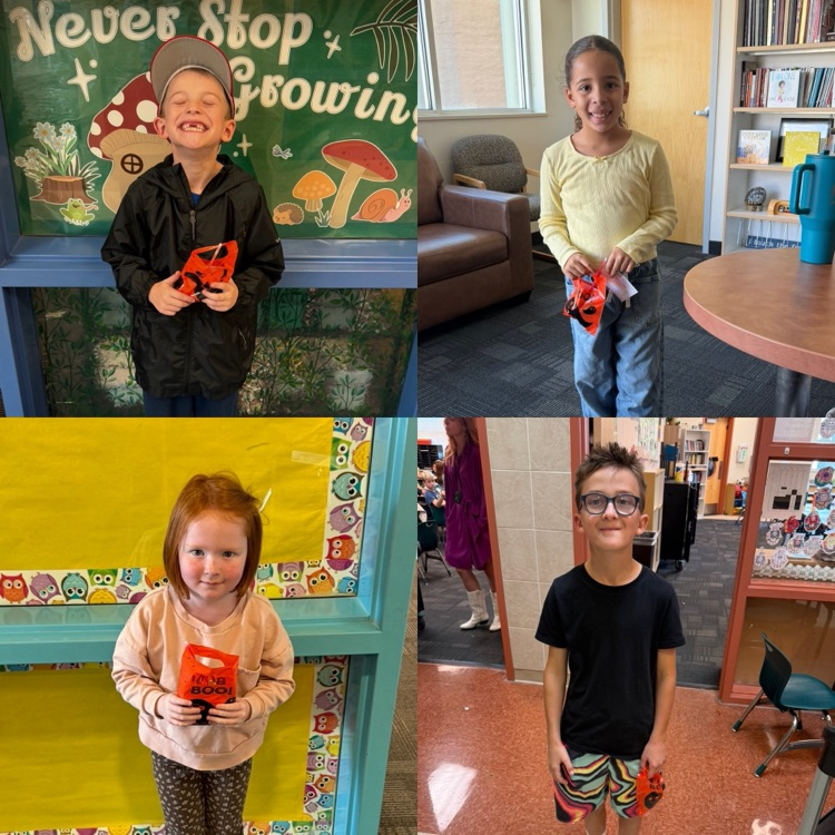 Rocky Reward Winners