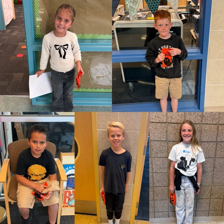 Rocky Reward Winners