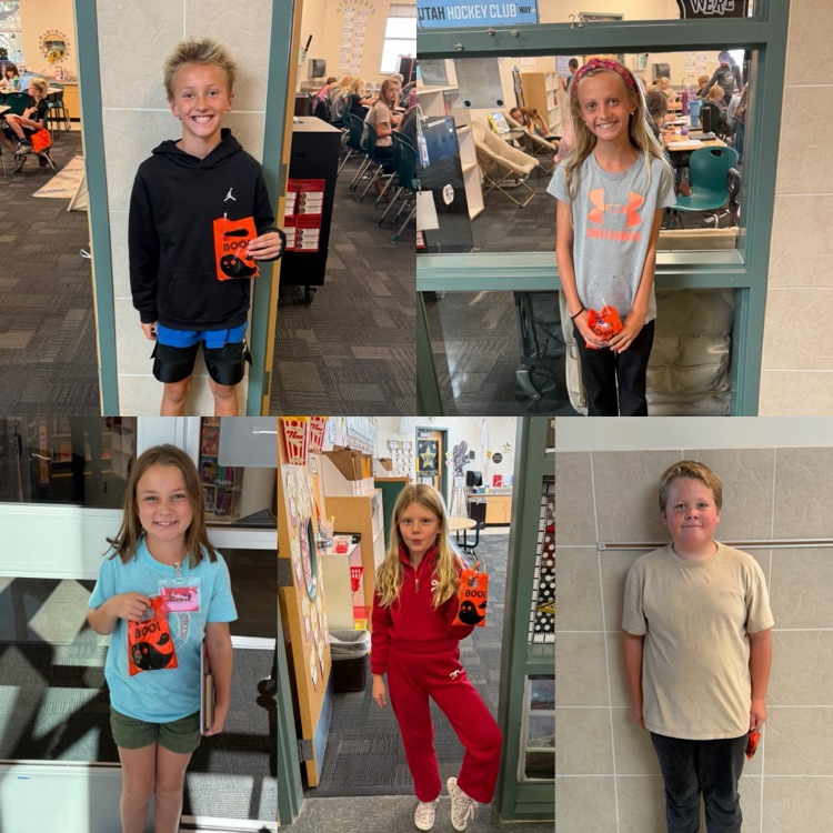 Rocky Reward Winners